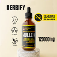 Herbify Organic Mullein Extract Lung Cleanse – 120000mg bottle with respiratory, skin, and cell support benefits