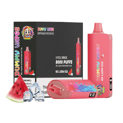 DUMMY VAPES 8000 DISPOSABLE VAPE