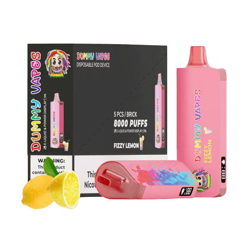 DUMMY VAPES 8000 DISPOSABLE VAPE