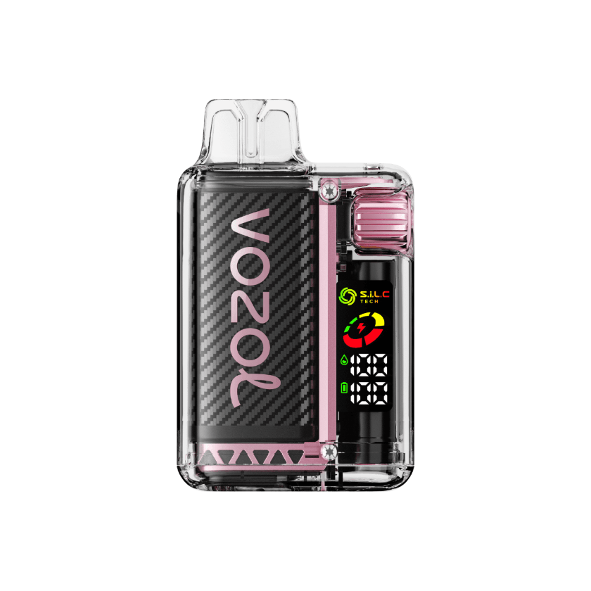 VOZOL VISTA 16000 DISPOSABLE VAPE 10-PACK