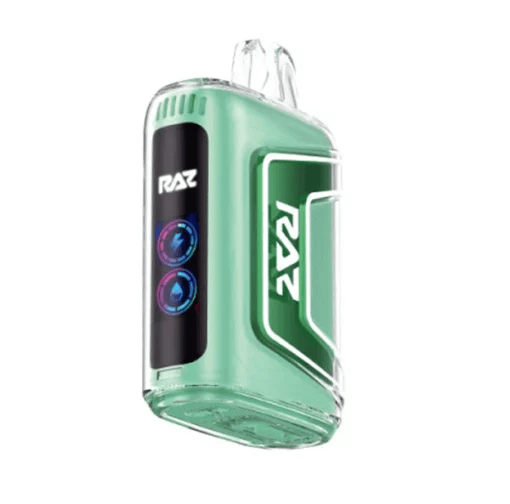 RAZ TN9000 MEGA DISPOSABLE VAPE 10-PACK