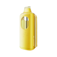 Romo Hex 50K Kit Disposable – Banana Ice